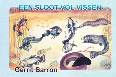 Een sloot vol vissen - Gerrit Barron - 9789991457003