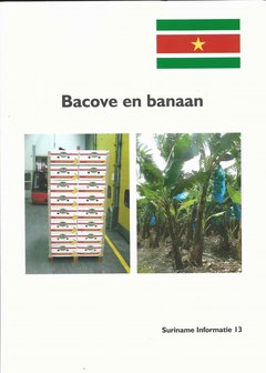 Bacove en banaan - Jan Veltkamp - 9789081946728