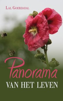 Panorama van het leven - Lalsing Goerdayal Panorama van het leven - Lalsing Goerdayal